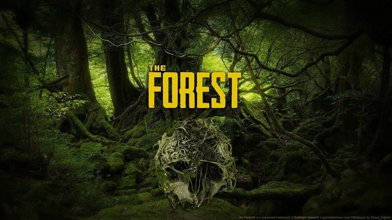 the forest コレクション ライター しまう