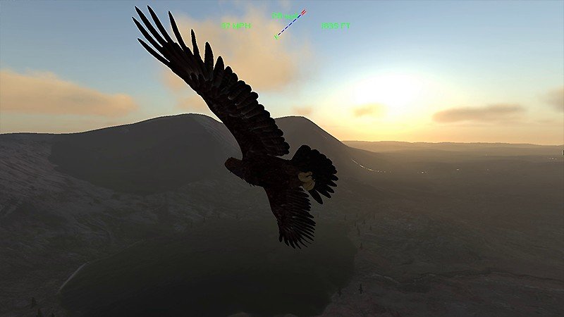 リアルなフライトシム要素を楽しめる『Aquila Bird Flight Simulator』