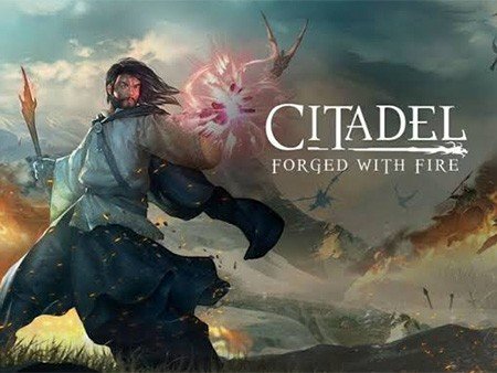 Citadel: Forged with Fire