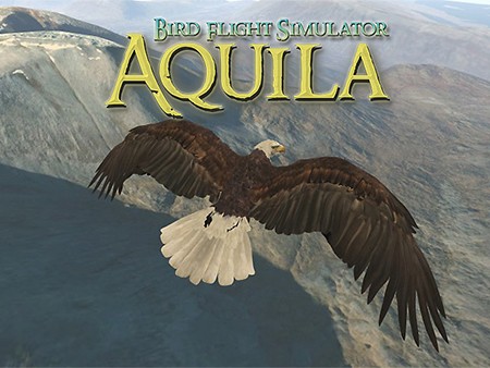 Aquila Bird Flight Simulator