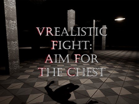 VRealistic Fight: Aim For The Chest